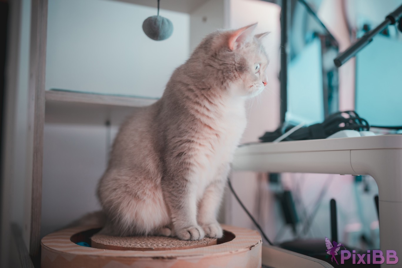 DJAWA Photo Son Ye Eun Retro Gaming Girl PixiBB.COM 068