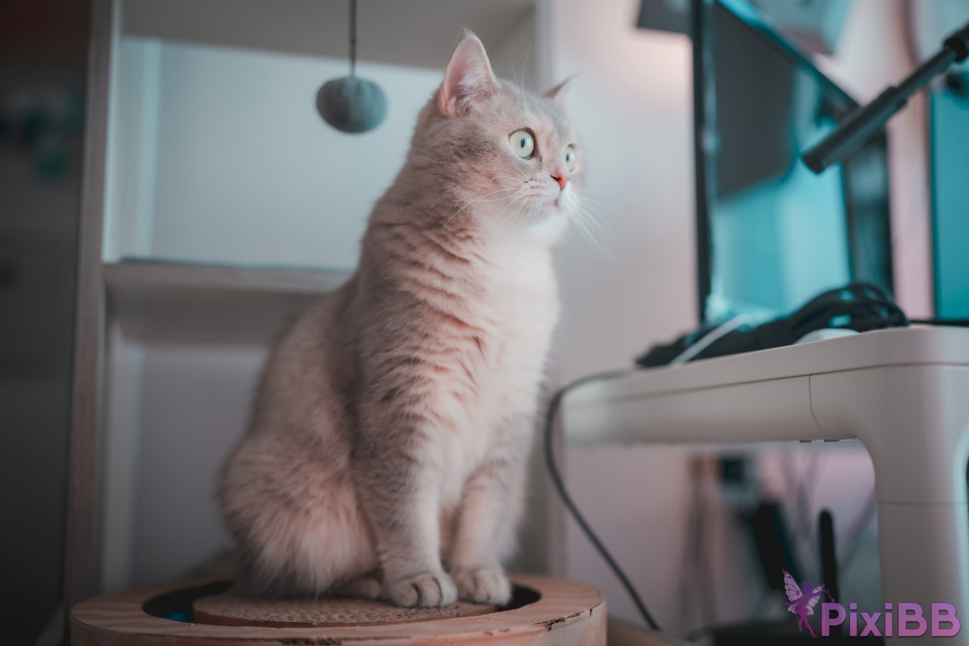 DJAWA Photo Son Ye Eun Retro Gaming Girl PixiBB.COM 069