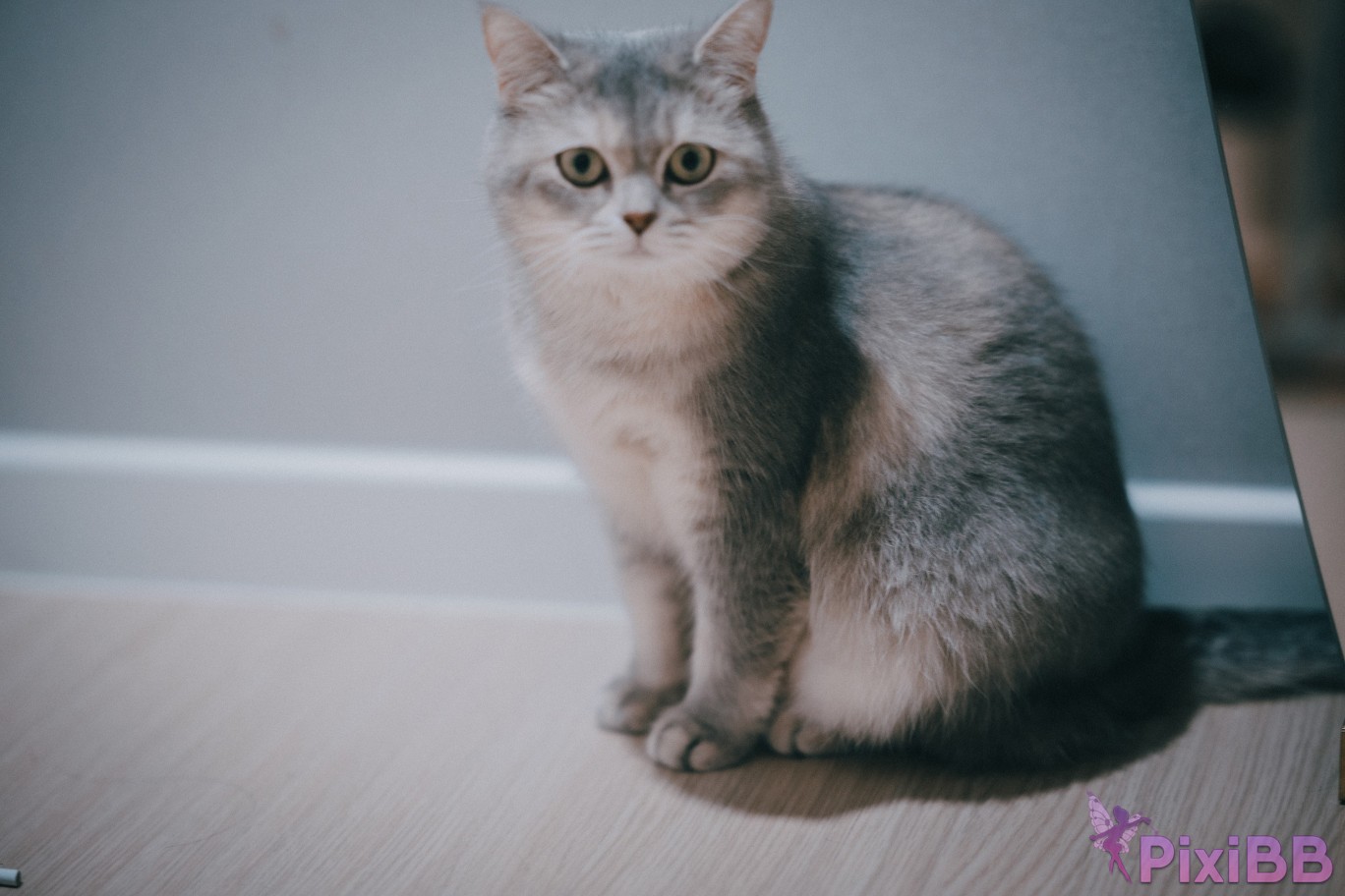 DJAWA Photo Son Ye Eun Seduction S.ver PixiBB.COM 017