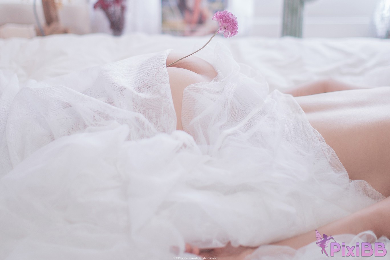 PhotoChips Vol.23 No.2 Bokbunjajoo PixiBB.COM 049