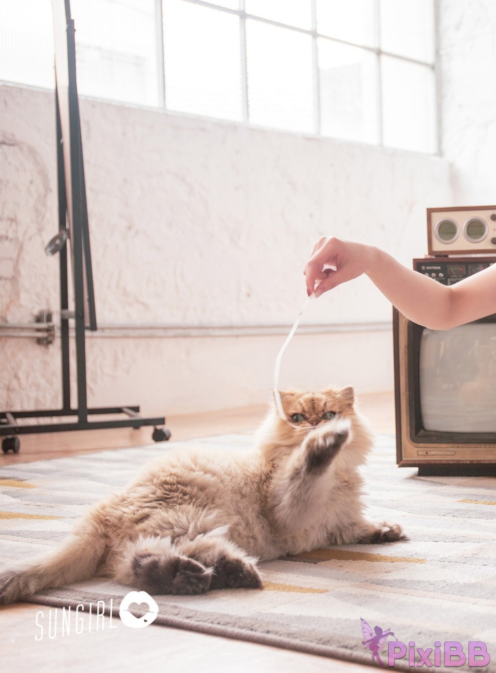 SUNGIRL No.009 PixiBB.COM 007